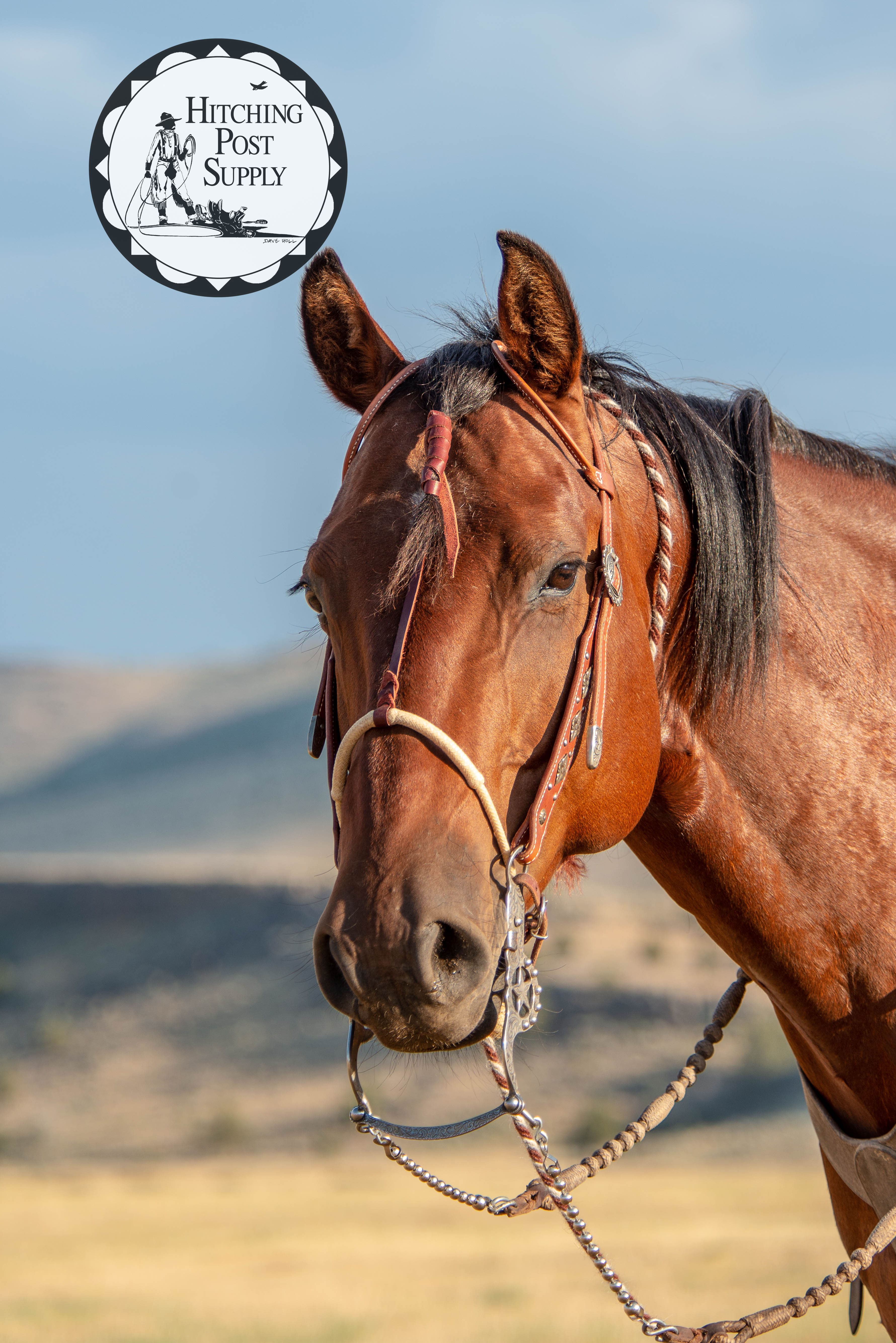 horseman's journey: The Bosal