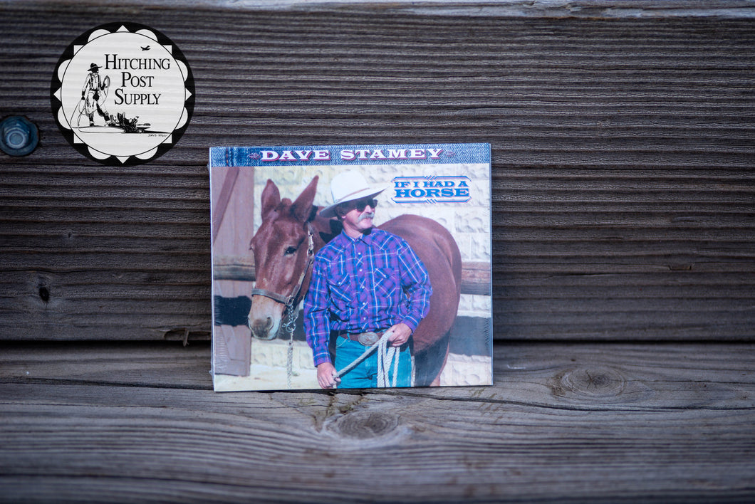 If I Had A Horse by Dave Stamey